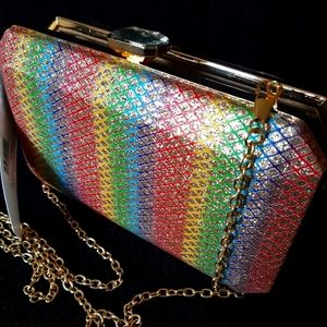 Alessia Bright Multi Clutch /crossbody PurseLovely and Elegant Purse Clutch/cro
